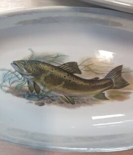 Моя находка 