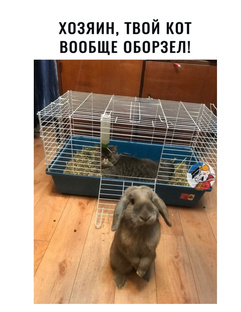 Самые смешные мемы, от которых сносит крышу 🙃🤣 😁