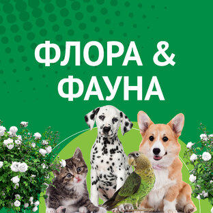 ФЛОРА & ФАУНА