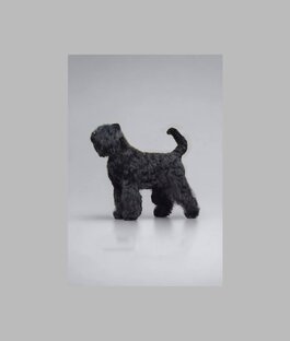 Русский черный терьер