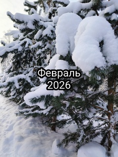 Февраль 2026