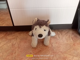 плюшевая анимация