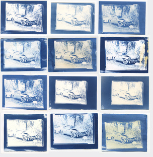 Цианотипия💙💙💙