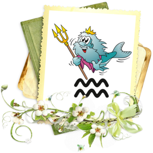 ✨ВОДОЛЕЙ✨