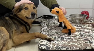 Репосты того что зацепило