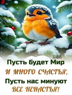 Фразы на каждый день