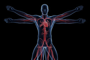 ФИЗИОЛОГИЯ