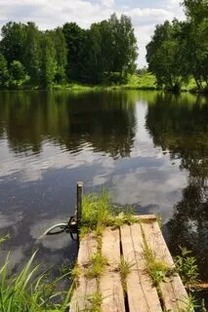 Стихи