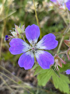 Кольский полуостров 