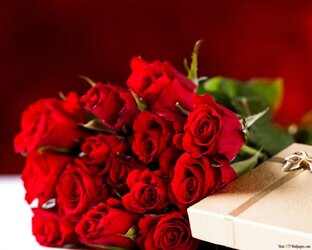 Романсы и песни.