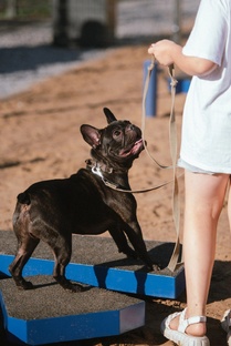 Материалы проекта