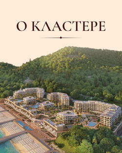 О кластере 