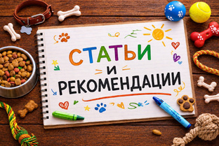 Статьи и рекомендации 