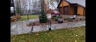 Итоги реализации ландшафтного проекта с высокими грунтовыми водами