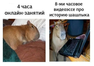 СДВГ и РАС (нейроотличия)