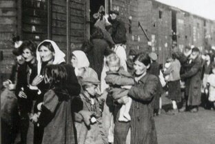 «Депортированные и мобилизованные: забытые герои трудовой армии»