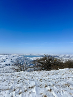 Прогулки, походы, путешествия!