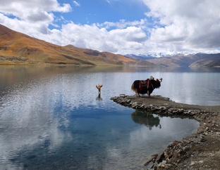 Последний поезд в Лхасу. 