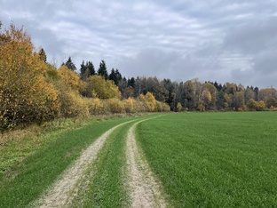 Дорога в Лавру