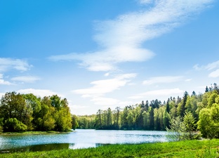 Добрые дела на Земле МО