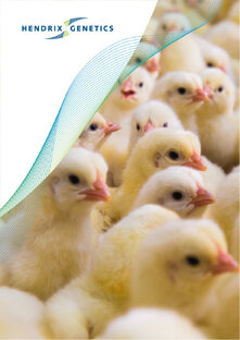 Руководство по инкубации Hendrix Genetics