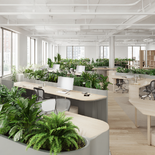 Зелёный сервис: всё об аренде растений для дома и бизнеса