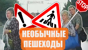 Веселые моменты