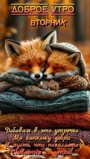 Утро в Приморье 