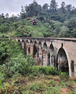 Обзор отелей Шри-Ланки