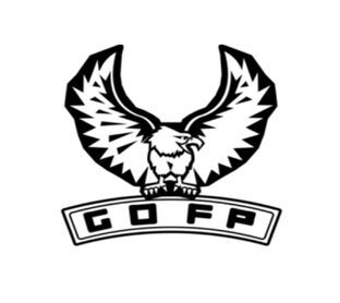 GTA 5 Online.GOFP TEAM