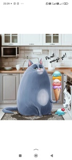 Начальный вес и светлые планы 