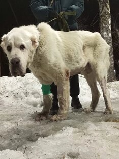 Помогаем БАЛУ 