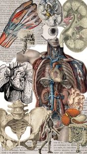 Здоровье и медицина