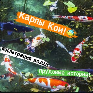 Садовые пруды