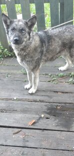 Кинематограф про армию