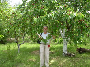 Зиновий Бекман