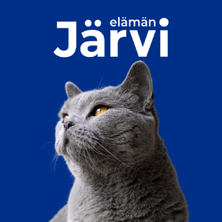 Все о кошках