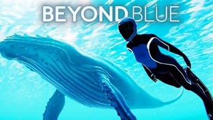 Beyond Blue