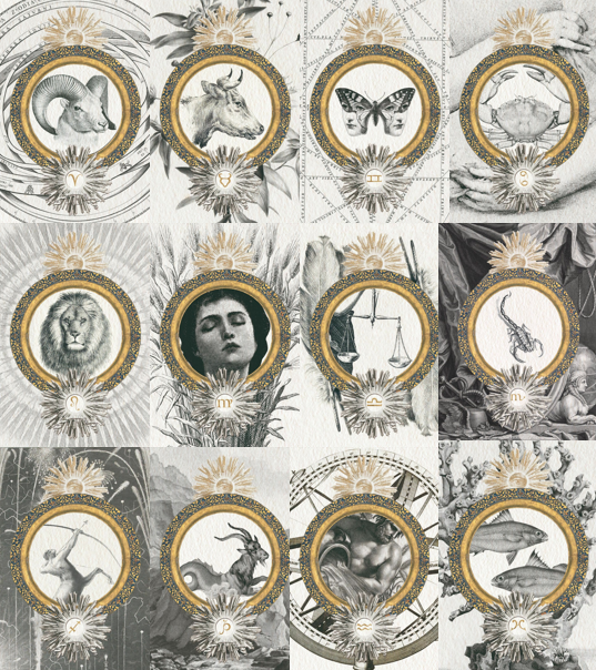 Предсказания астрологов на 2024г. Известный астролог женщина. Предсказания астрологов на 2024г. Предсказания астрологов на 2024г. Профессиональная астрология.