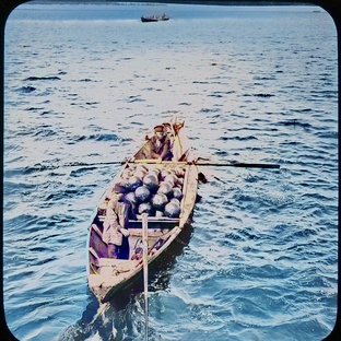 Сельское хозяйство и рыбное дело