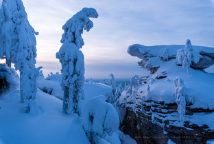 Снежная Парма