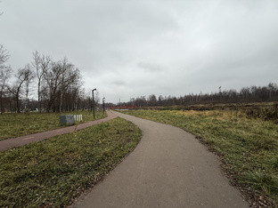 Ивантеевка,парк, река Уча, утки