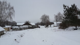 Зимой без дела не сидим