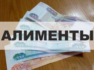Алименты