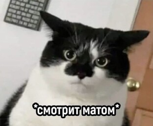 Жизнь в Германии