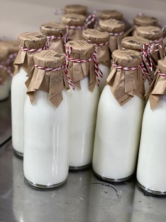 О пользе кисломолочной продукции