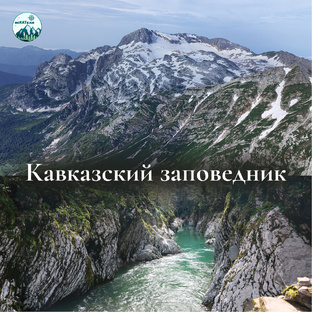 Кавказкий заповедник