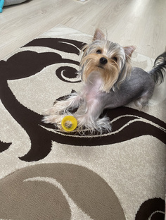 Посмотри новинки