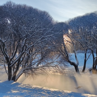 Таро-Энергии и разборы