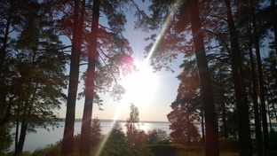 путешествия